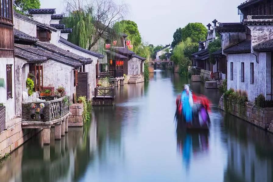 细胞分裂5